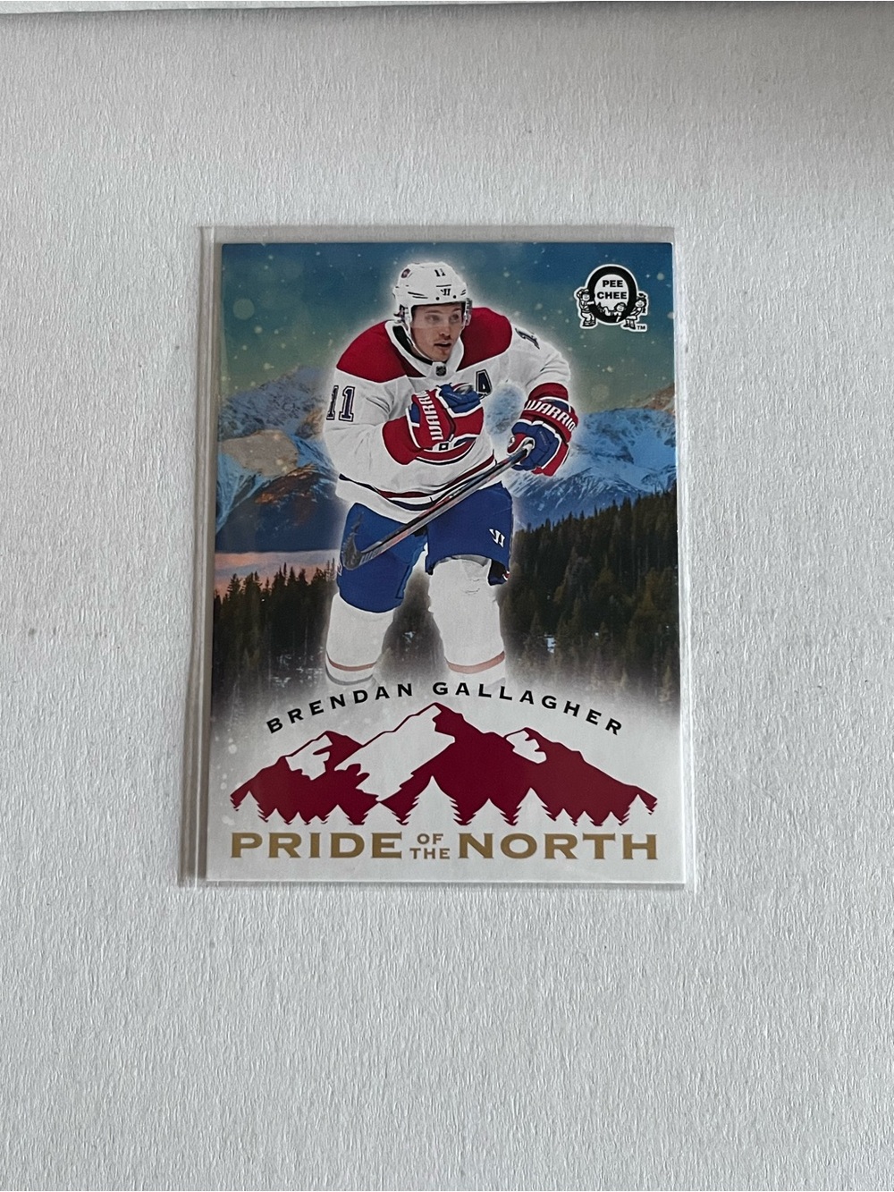 Upper Deck O-Pee-Chee "Pride of the North" - Brendan Gallagher